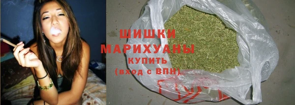 ешки Бородино