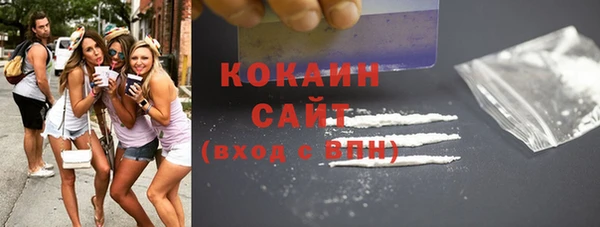 ешки Бородино