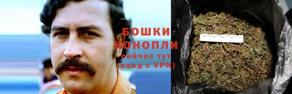 сатива Бронницы