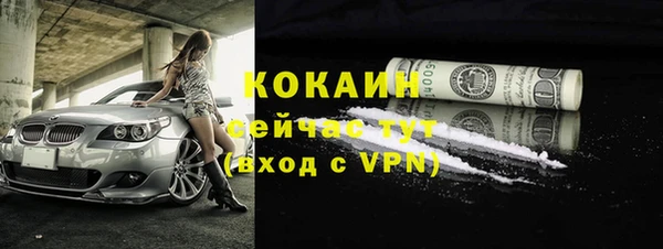 сатива Бронницы