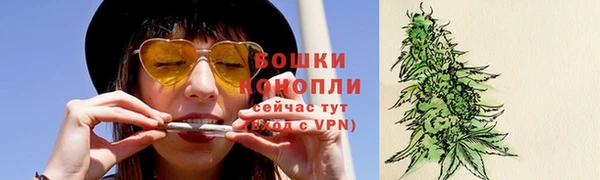 ешки Бородино