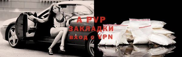 ешки Бородино