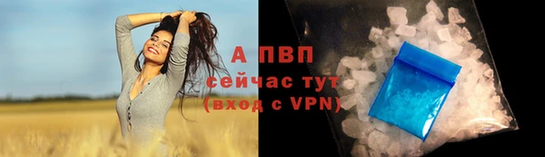 сатива Бронницы
