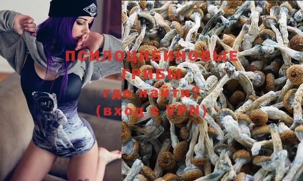 ешки Бородино