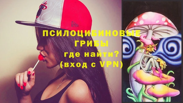 ешки Бородино