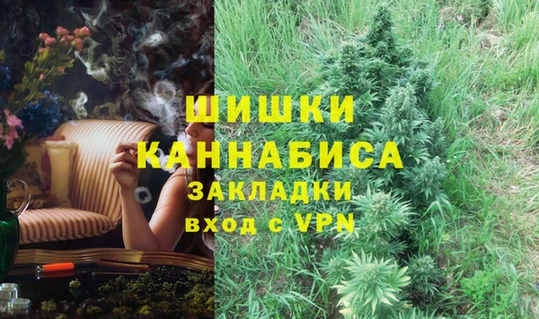 ешки Бородино